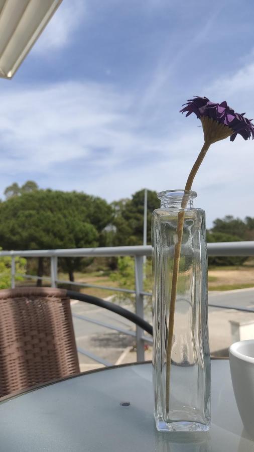 Alojamento Local Verde E Mar Comporta Ngoại thất bức ảnh
